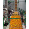 Canning Lemonade Orange Fruit Juice Production